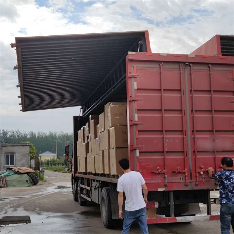 德阳市扎囊县：物流专线的高效货运之旅